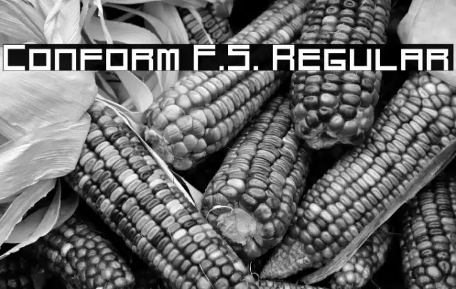 Conform F.S. Regular Font examples