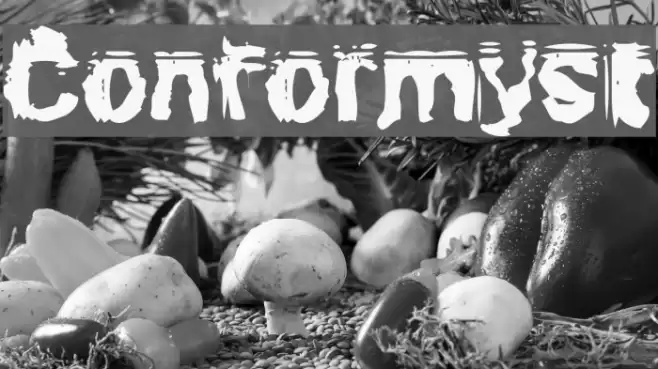 Conformyst Font examples