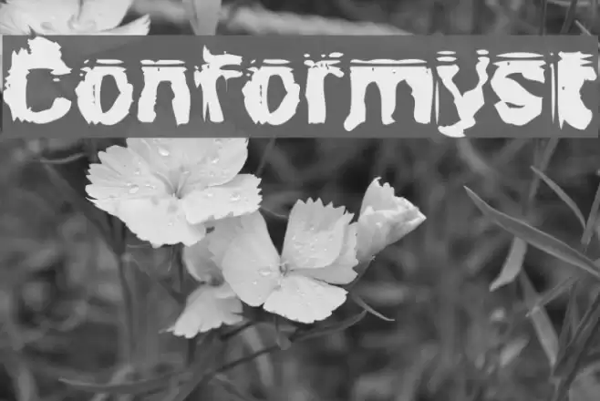 Conformyst Font examples