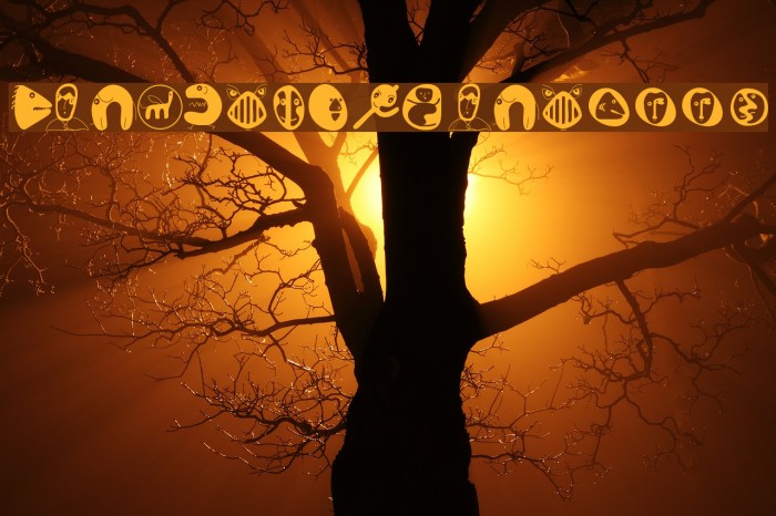 ConfusEyecons2005 Font examples