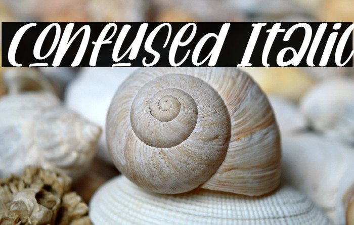 Confused Italic Example 1