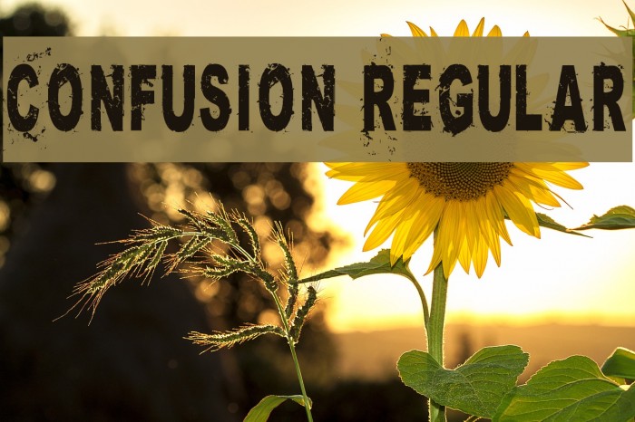 Confusion Regular Example 3