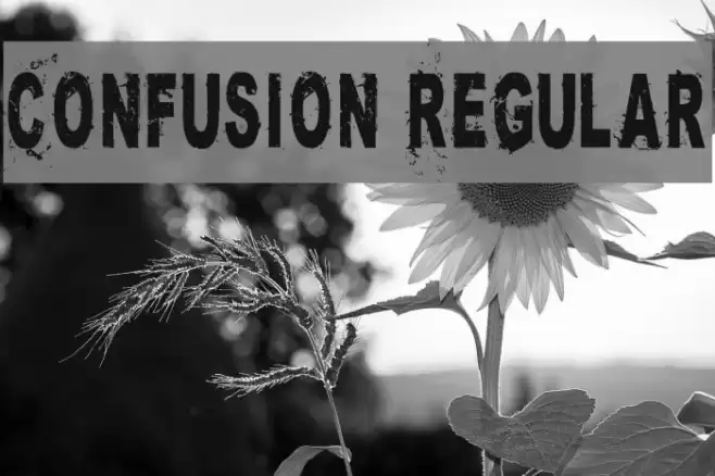 Confusion Regular Font examples