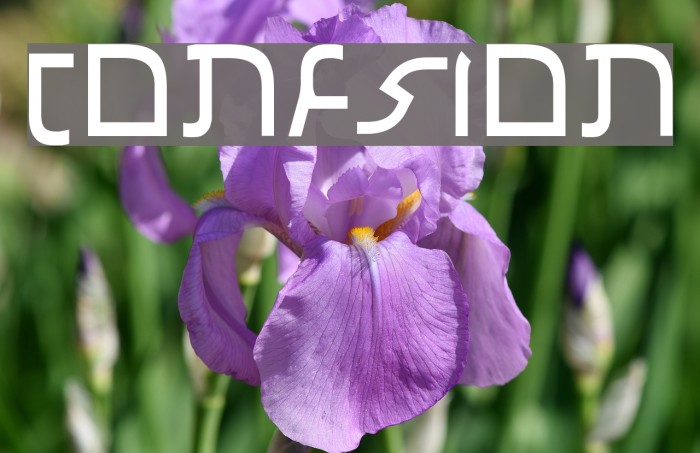 Confusion Font examples