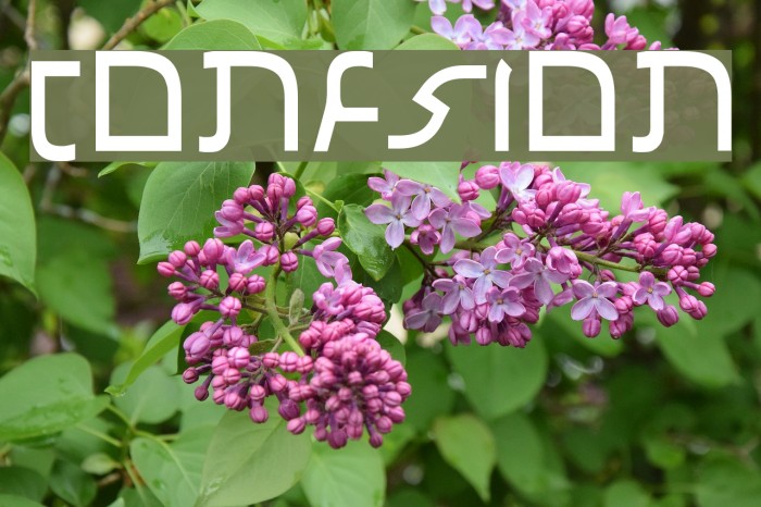 Confusion Font examples