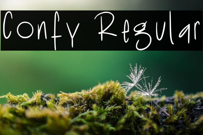 Confy Regular Caratteri examples