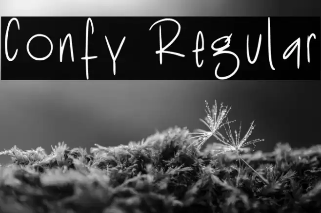 Confy Regular Font examples