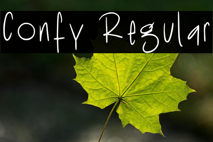 Confy Regular Caratteri examples
