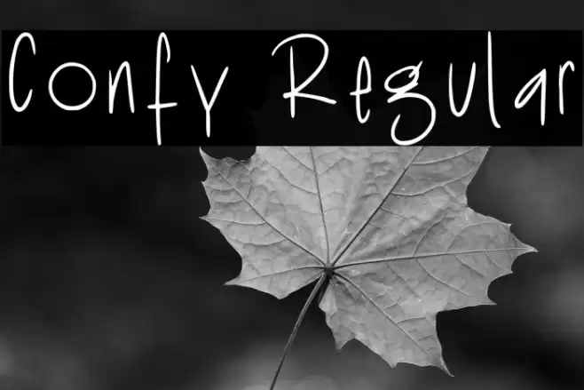 Confy Regular Font examples