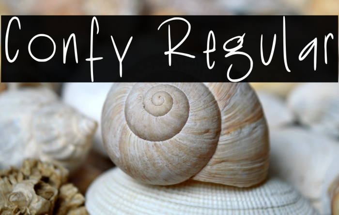 Confy Regular Caratteri examples