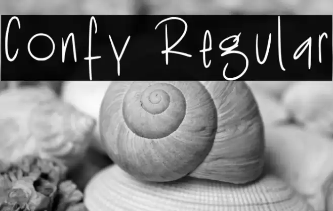 Confy Regular Font examples