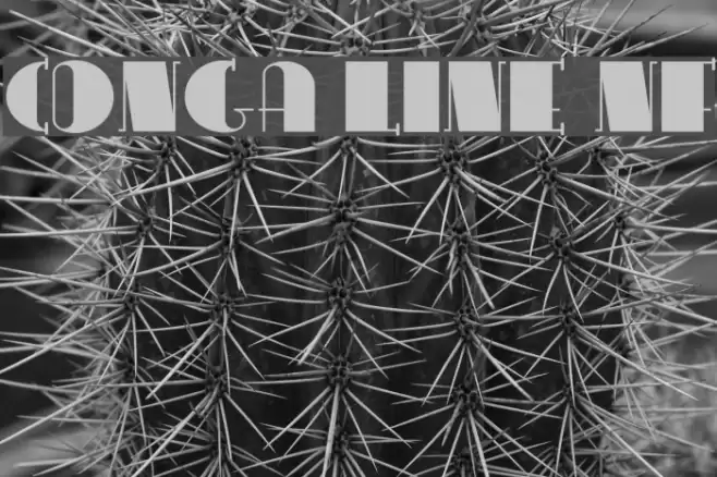 Conga Line NF Caratteri examples