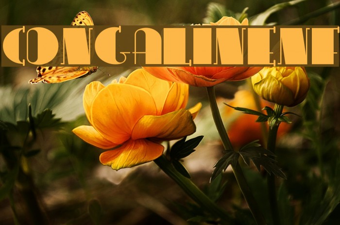 CongaLineNF Example 3