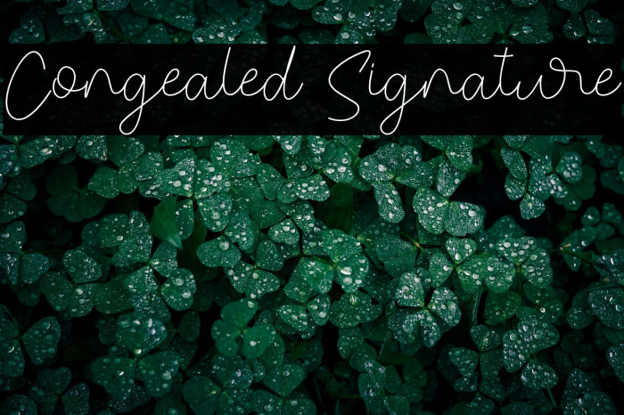 Congealed Signature Example 2