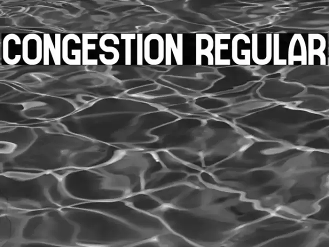 Congestion Regular Font examples