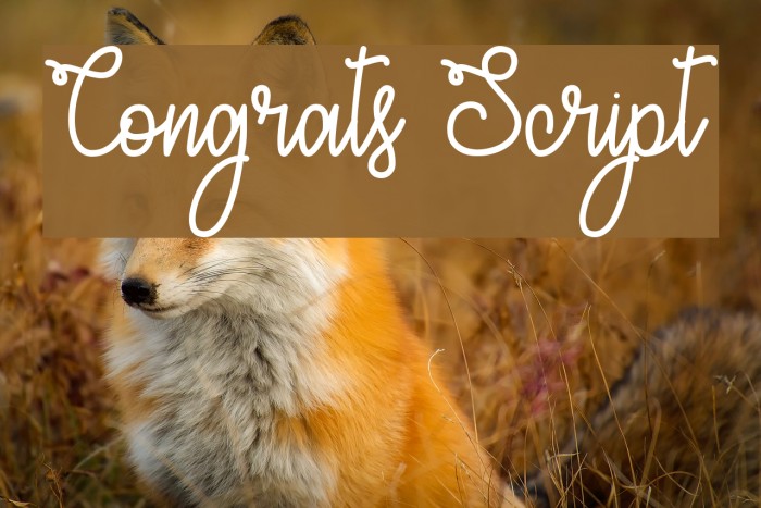 Congrats Script Font examples