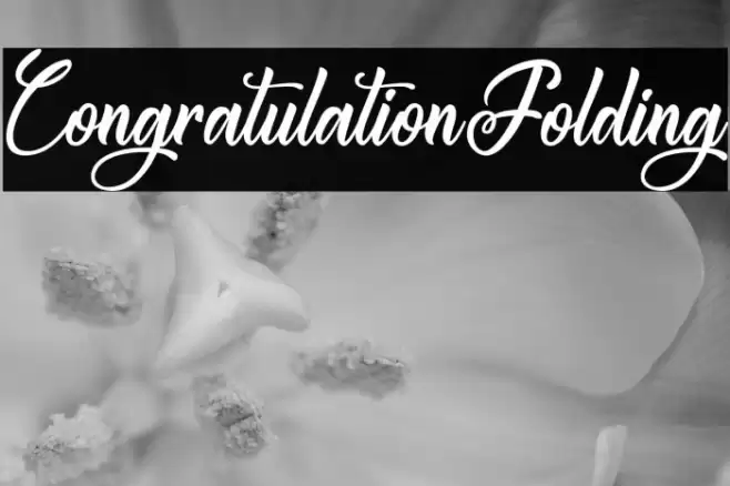 CongratulationFolding Font examples