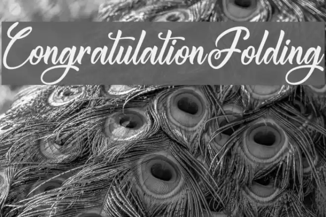 CongratulationFolding Font examples