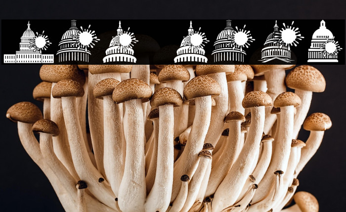 Congress Regular Example 2