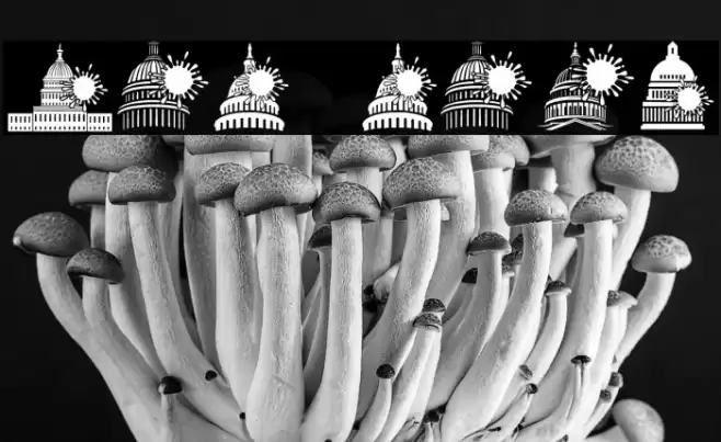 Congress Regular Font examples