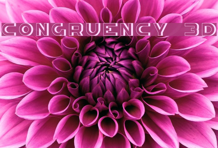Congruency 3D Font examples