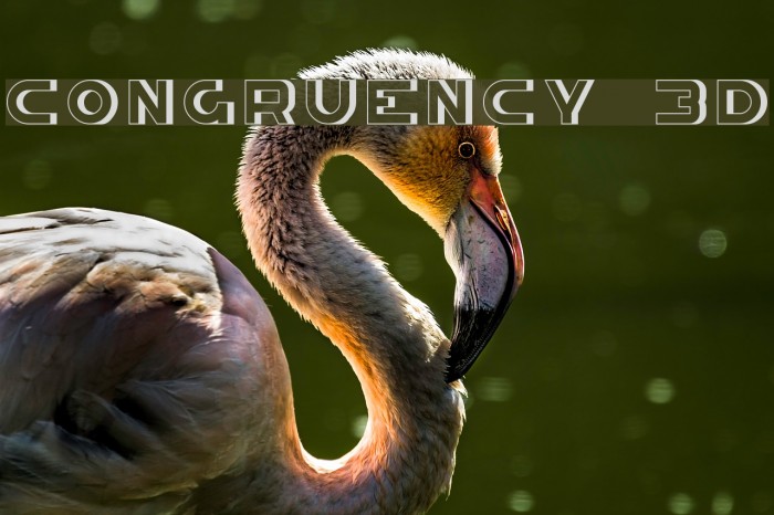 Congruency 3D Font examples