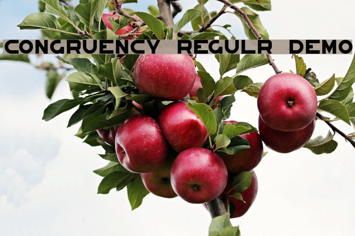 Congruency Regular Demo Font examples