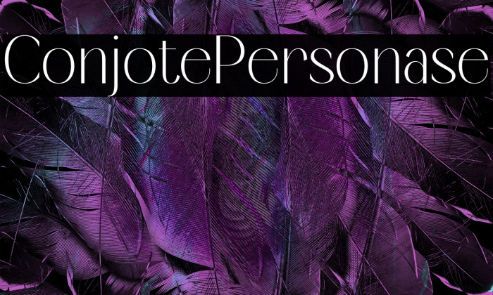 Conjiote Personal Use Example 2