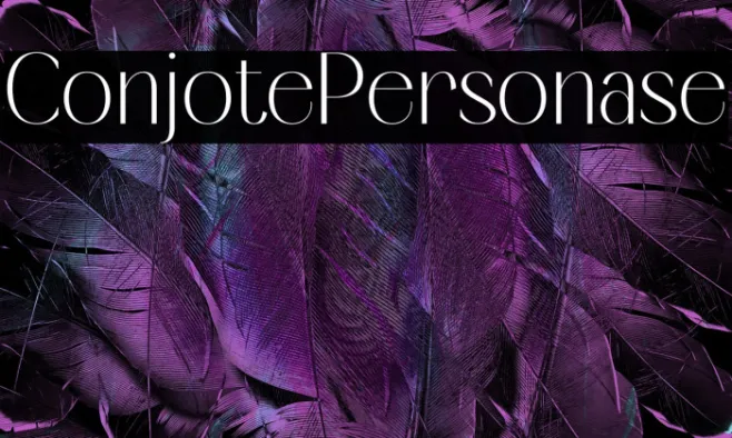 Conjiote Personal Use Example 2