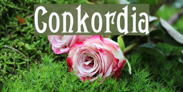 Conkordia Font examples