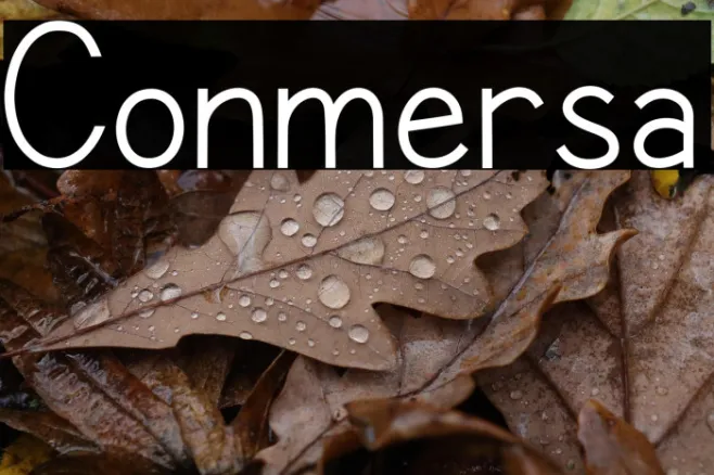 Conmersa Example 1
