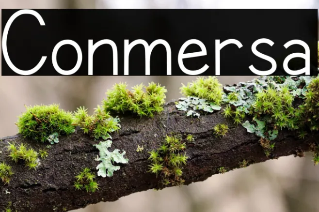 Conmersa Example 3