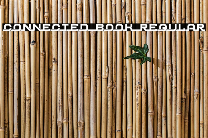 Connected Book Regular 字体 examples