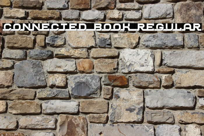 Connected Book Regular 字体 examples
