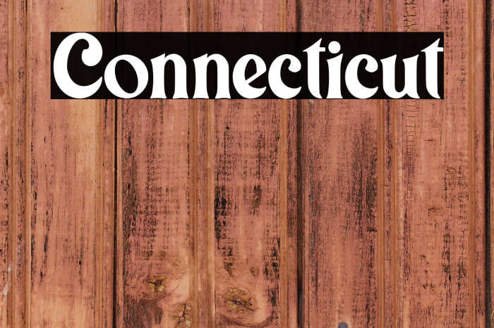 Connecticut Example 2