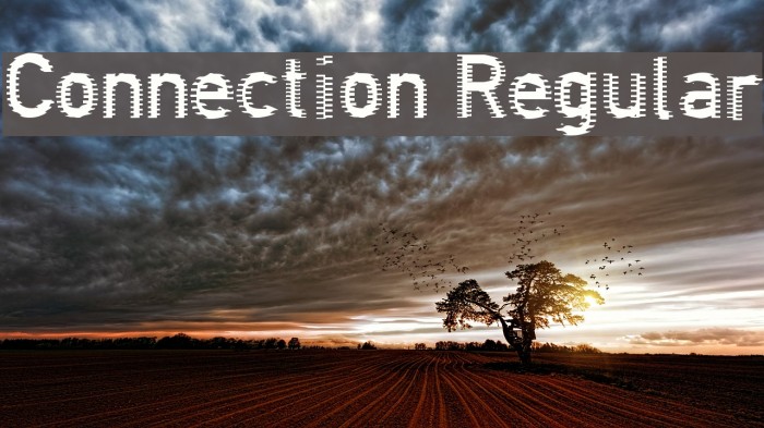 Connection Regular Font examples