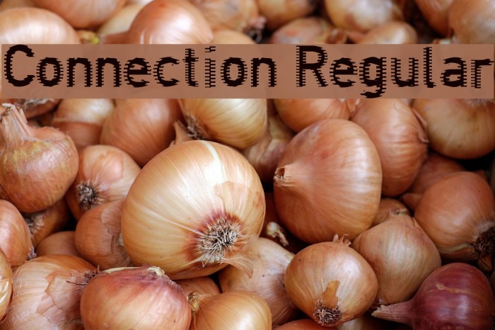 Connection Regular Font examples