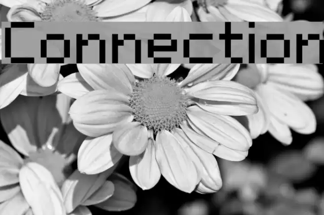 Connection Font examples