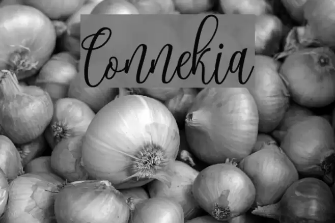 Connekia Font examples