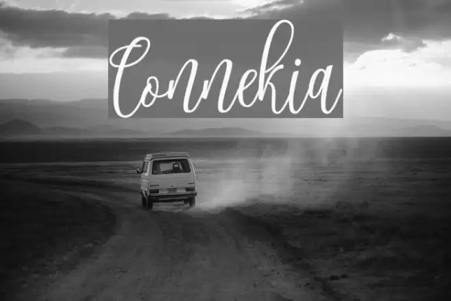 Connekia Font examples