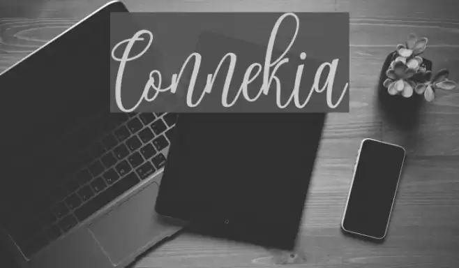 Connekia Font examples
