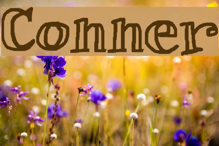 Conner Font examples