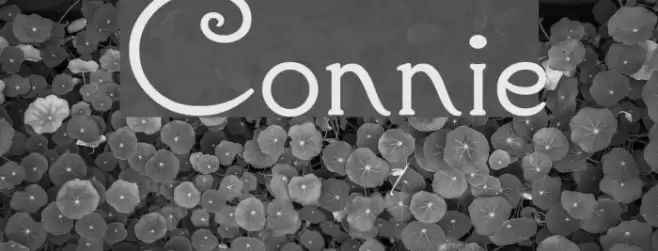 Connie Font examples