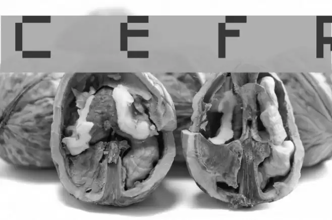 Connor's Epic Font Regular Font examples