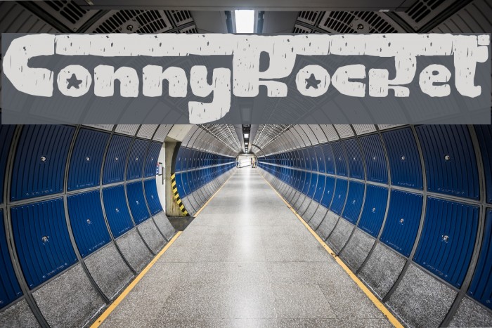 ConnyRocket Example 1