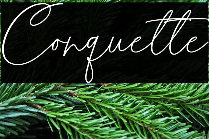 Conquette Example 1