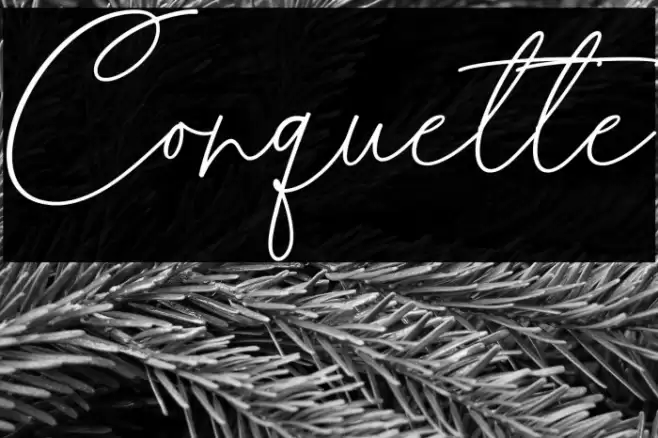 Conquette 字体 examples