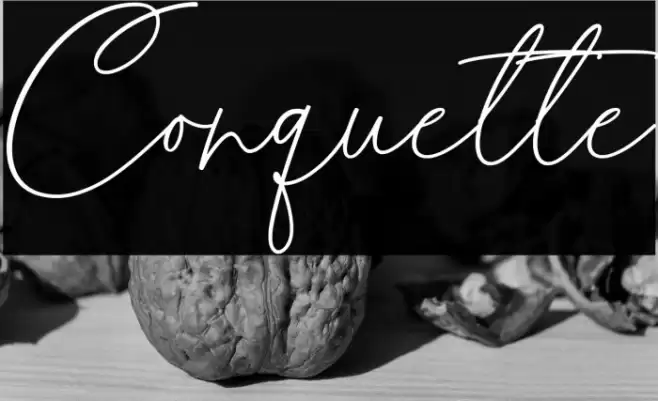 Conquette 字体 examples