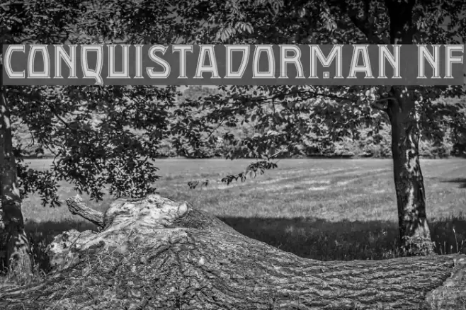 Conquistadorman NF Font examples