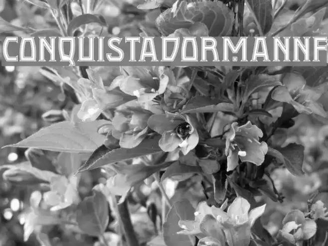 ConquistadormanNF Font examples